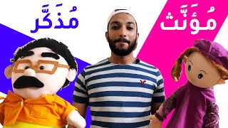 قواعد العربية (4) المذكر والمؤنث |  Arabic Grammar - Feminine & Masculine