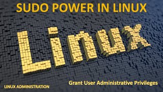 Celebrity Mastering Sudo Power in Linux: How to Grant User Administrative Privileges Net Worth