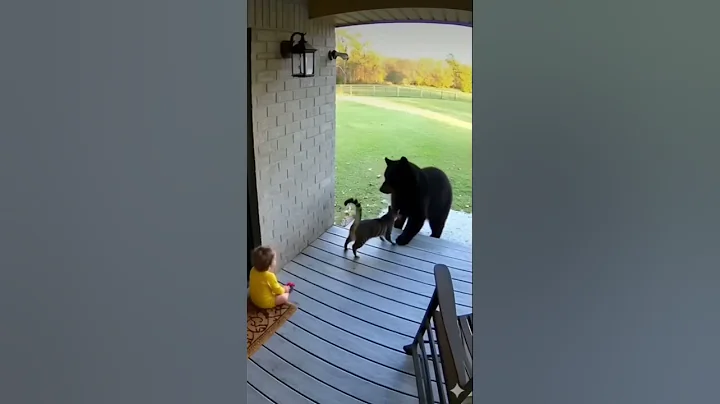 UNBELIEVABLE Security Camera Tiny Cat Saves Baby From Bear Attack！#cat #ai