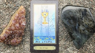 Confirmation. Divine Interaction Reading for The Collective of The Most High