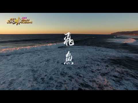 青春頌歌詞MV - 飛魚 - 郭盈君（兒喜）演唱