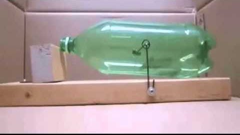 Hướng dẫn cách diệt chuột nhắt hiệu quả bằng chai nhựa - how to kill mice