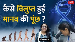 How Humans Lost Their Tails | कैसे विलुप्त हुई मानव की पूंछ | Sanskriti IAS