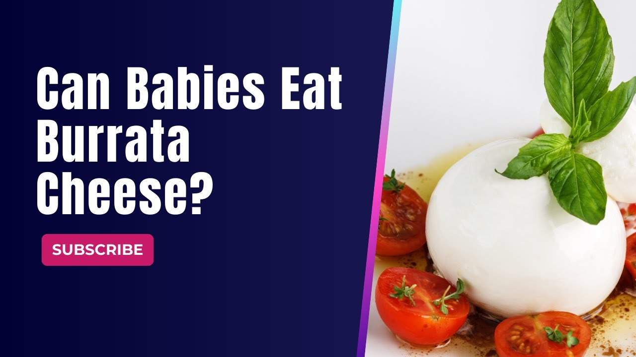 Can Babies Eat Burrata Cheese: What Every Parent Should Know