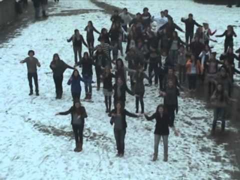 flash mob CNDP
