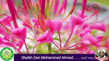 092 Al Layl سورة الليل= القران الكريم للشيخ = الزين محمد أحمد  Al Zain Mohammed Ahmed