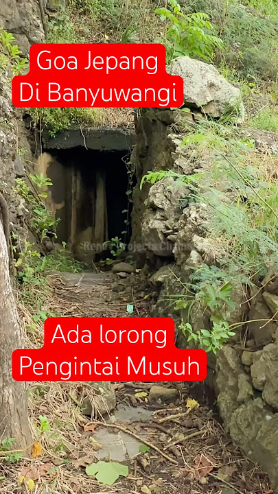 Goa Jepang ada lorong pengintai musuh peninggalan Jepang di Banyuwangi