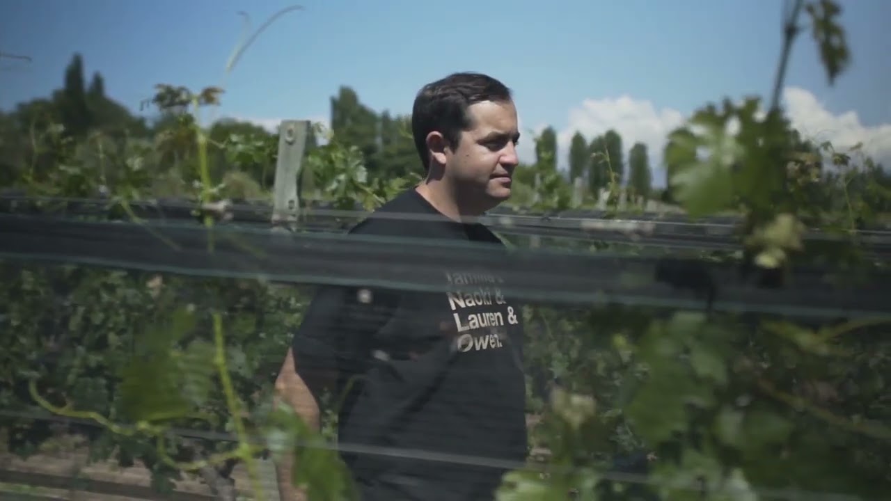 Casarena - An Introduction to the Winery.