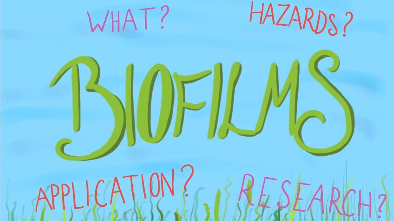 What is a Biofilm