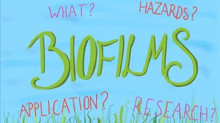 What is a Biofilm?