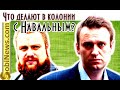 Демушкин: Что происходит с Haвальным в кoлoнии? SobiNews. #2