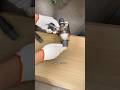 Smart Washing Machine Drain Trap Installation 🔧 | No Smell &amp; No Blockage #viral #short #new