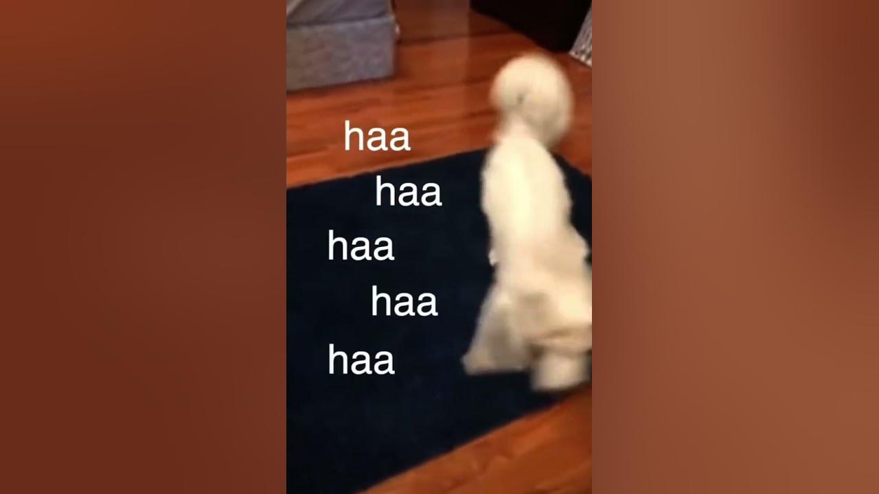 youtu.be