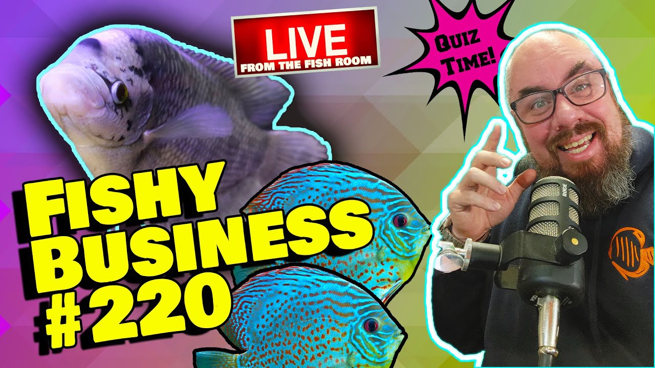 Friday Night Live! - Fishy Business #220