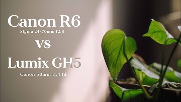 Canon r6 vs GH5 | Is the GH5 worth it in 2022