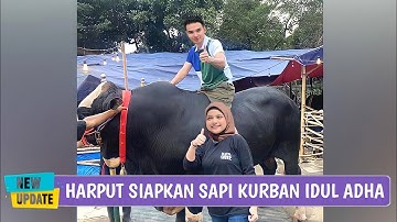 Tuai Pujian Netizen.! Jelang Idul Adha Harput Siapkan Sapi Kurban Seharga Ratusan Juta