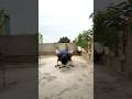 Do It every Single Day💪💪#workout #pushps #challenges #motivationalvideo #calisthenics #gym #shorts