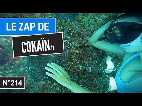 Le Zap de Cokaïn.fr n°214