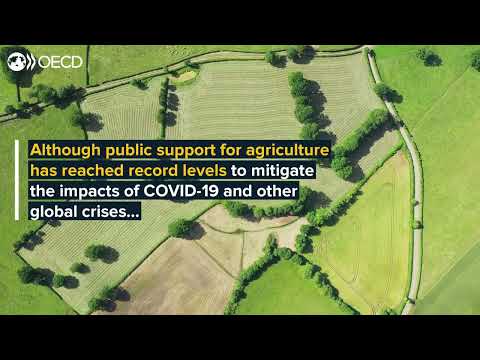Support to agriculture has risen in response to global crises