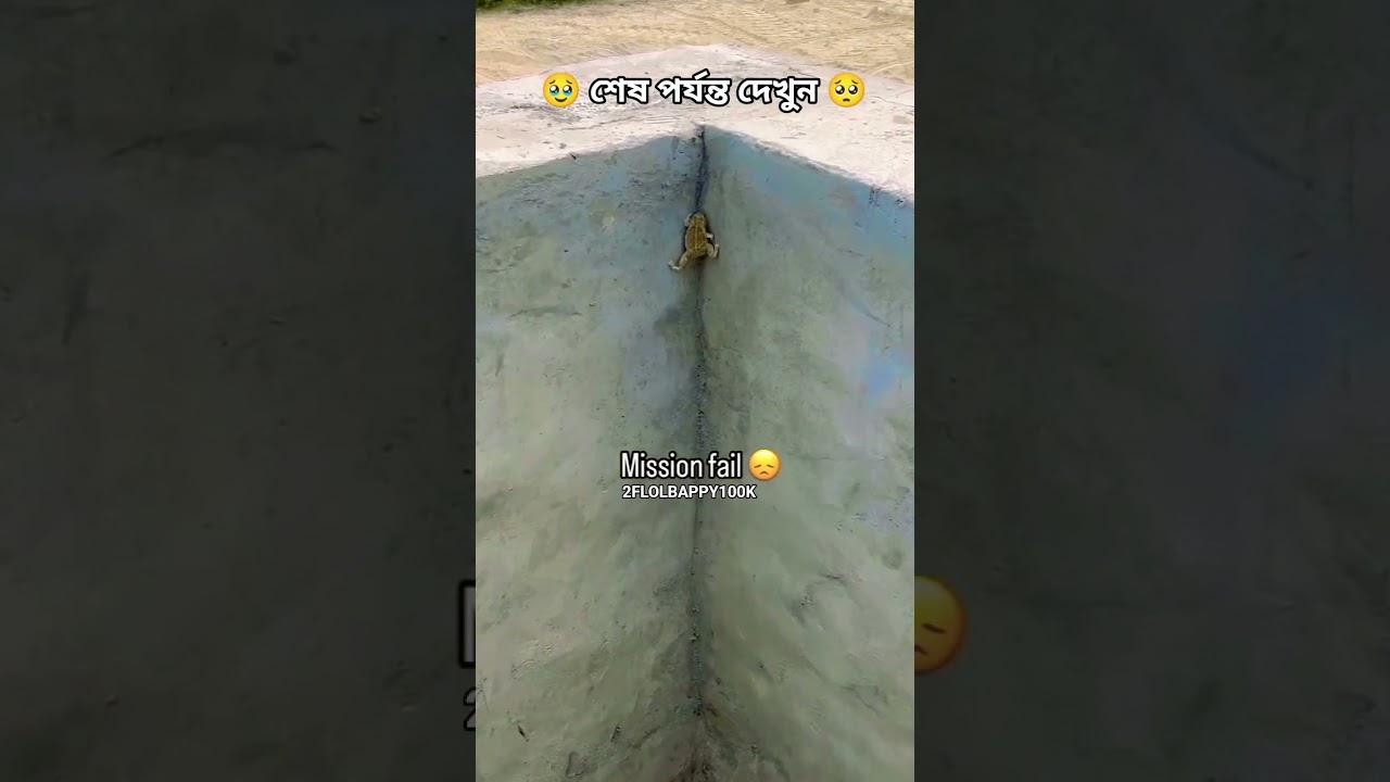 #slowedandreverb #love #song #slowedandreverbhindi #cover #duet #slowedandreverbweeknd #bollywoodlof