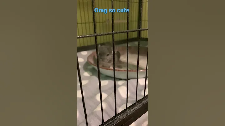Omg so dang cute