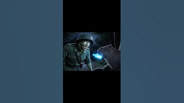 Capybara giúp chú bộ đội khỏi biến thành sói❤️ #capybara #capybodoi #hoathinhvietnam