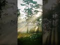 الله نور السموات والارض شريف مصطفى