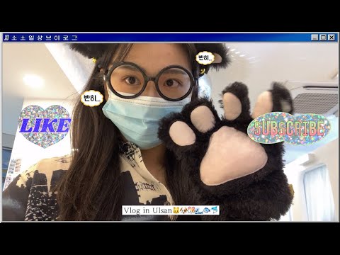 [VLOG 일상 브이로그] 이 정도면 울산에서 사는 거 아닌가 싶은 본가에서의 힐링 일상 브이로그