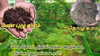 Earthworm Compost Vs CowDung Manure | Which Compost Gives the Highest Yield? | எது சிறந்தது?