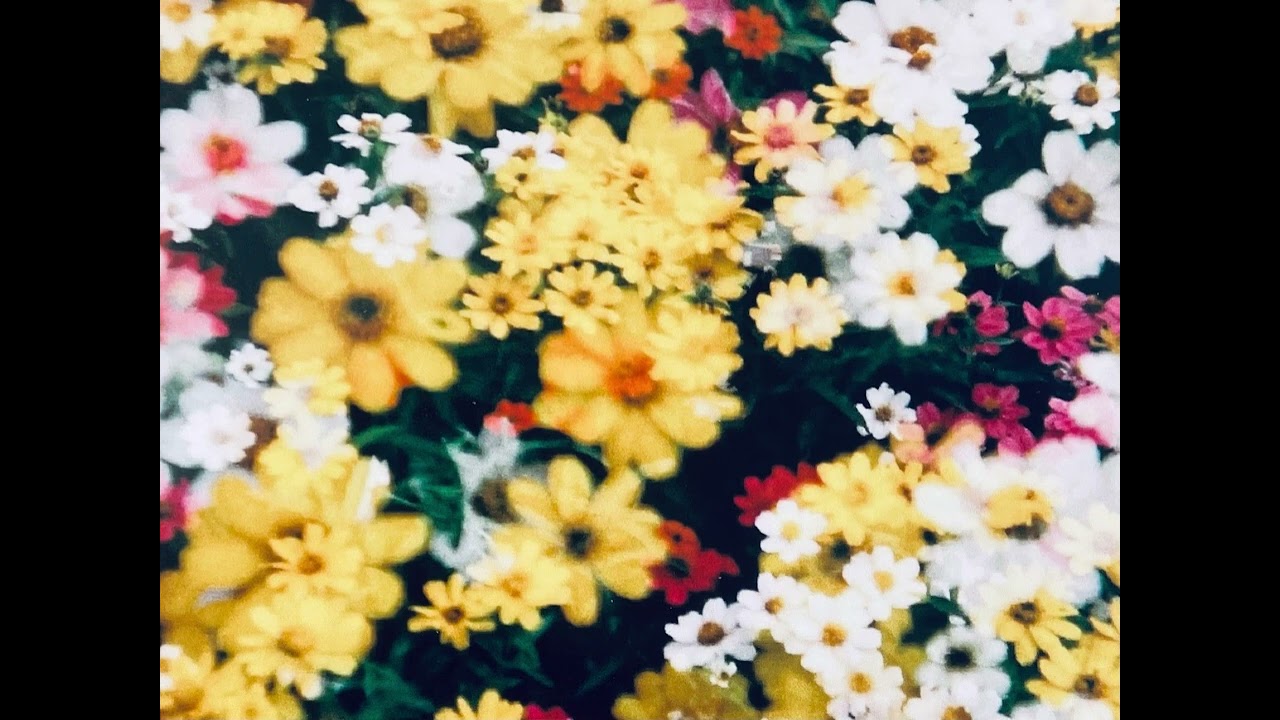 MOONRISE - INVITATION（2009-10-11）