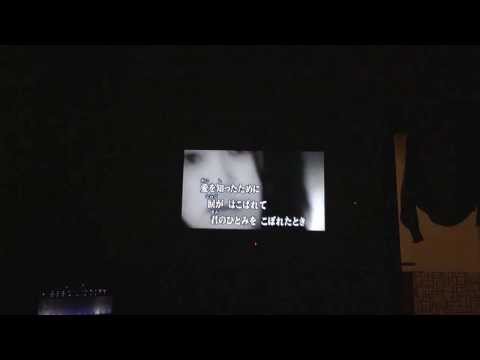 青春の影 チューリップ 《歌ってみたり》