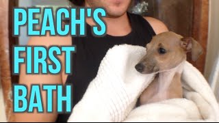 Peach's First Bath