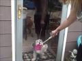 ATTACK OF THE KILLER JACKAPOO.wmv