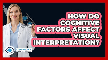 How Do Cognitive Factors Affect Visual Interpretation?