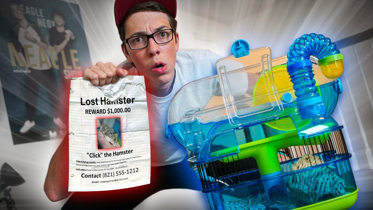 visa americana costa rica NOSSA HAMSTER SUMIU!!! ‹ NeaglePrank ›