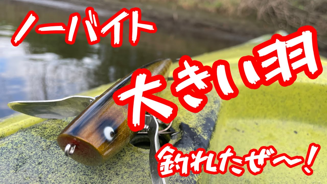 #ノーバイト#大きい羽#トップウォーター #カヤックフィッシング#bassfishing #小貝川バス釣り#fishing