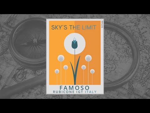 Sky's the Limit | Wine Voyage Variety Pack