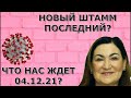 ВОЗ становится Мировым Правительством? Для чего перепись населения?