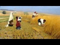 Russian Serfdom vs American Slavery Digital Story INT 301