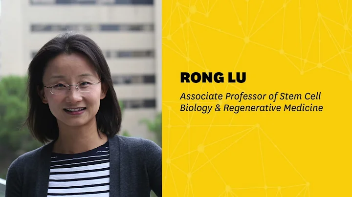 Podcast | Associate Professor Rong Lu: Stem cell b...