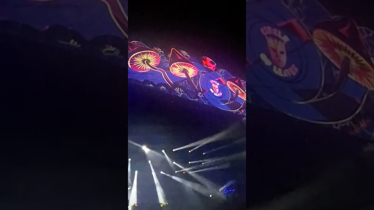 DJ Eulberg auf dem Circle of Leaves Festival am Marbach Stausee 2025