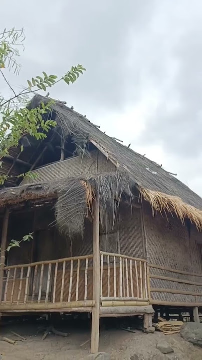 AhaTik auliaaulp 1716758973026