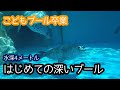 【アザラシ赤ちゃん】はじめての深いプール　アザラシ赤ちゃん成長記録30　生後64日目 　Spotted Seal Growth Record (Day 64)