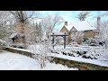 Snowy Morning Walk in old Toronto Cozy Homes - Ambient Snow Sounds and Relaxing Music to Calm