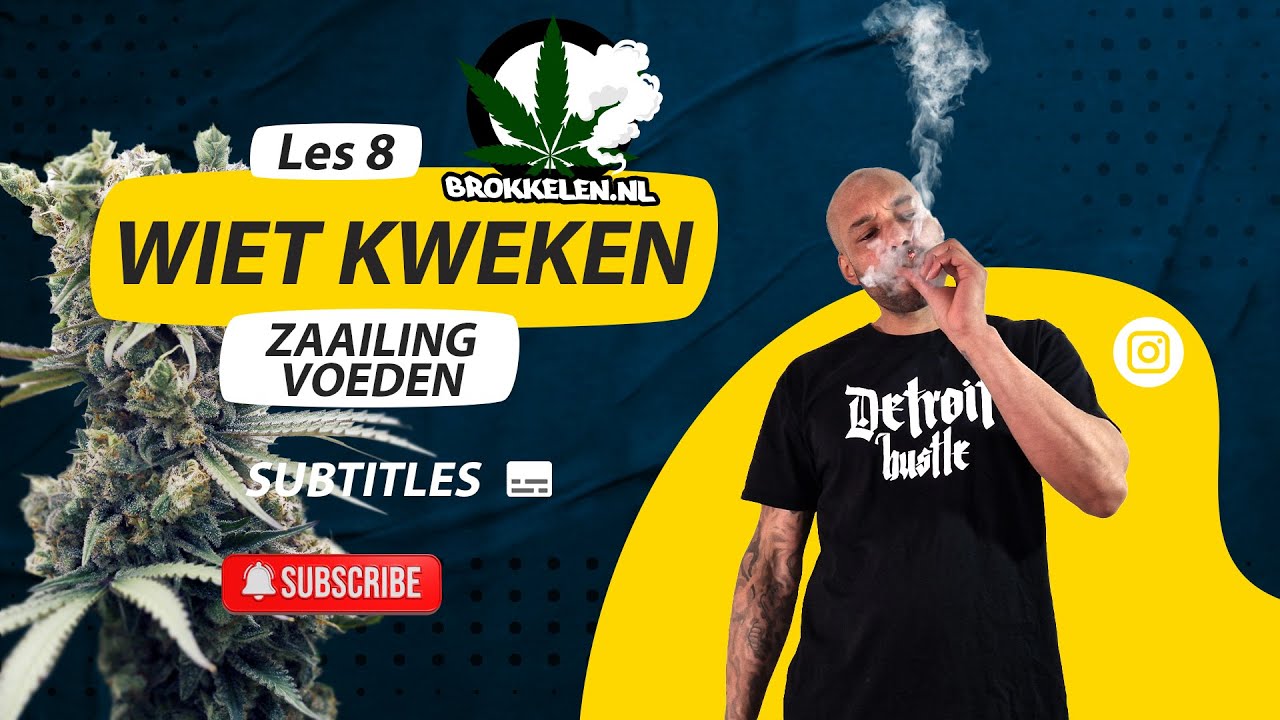 Hoe je zaailing voeden - Wietplanten (subs)