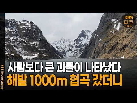 해발 1000m 바위 협곡, 사람만한 괴물이 나타났다 | KBS 20240815 방송