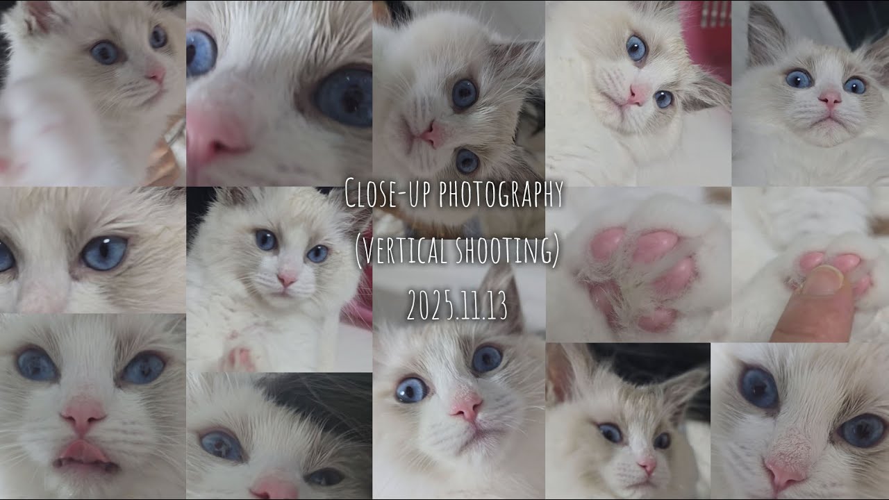 Close-up photography (vertical shooting)_20251113 
