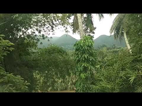 Willy Iwan Fals Chord Lirik Kunci Gitar