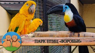 ПАРК ПТИЦ ВОРОБЬИ. Самый большой парк птиц в России.  Необычное общение с животными.