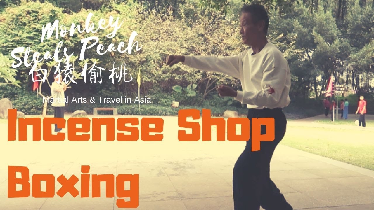 Incense Shop Boxing Master Lin Shows Sanzhan, first form YouTube
